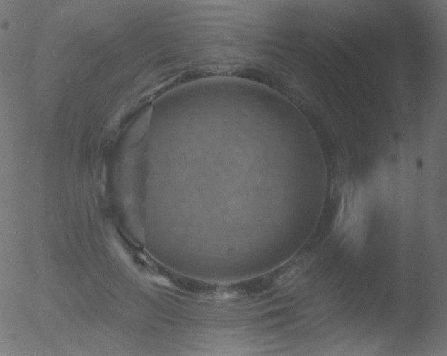 X0000052570647200507011222