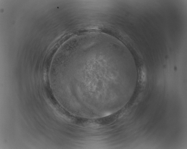 X0000052570648200507011222