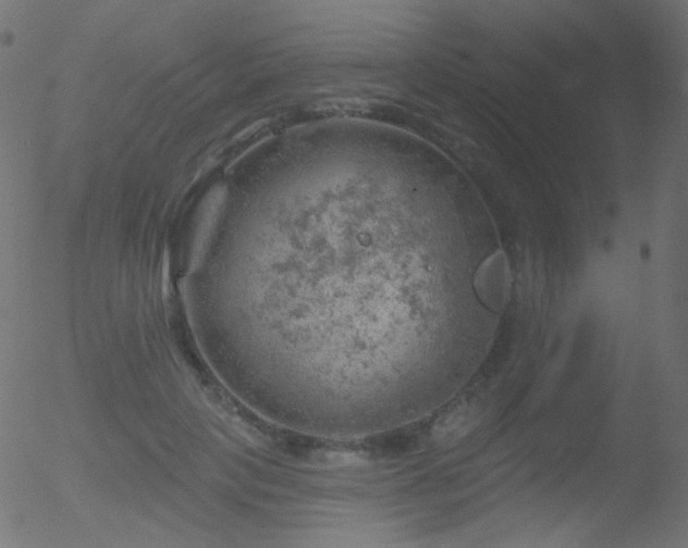 X0000052570649200507011222