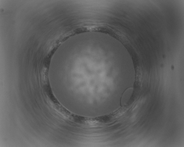 X0000052570650200507011222