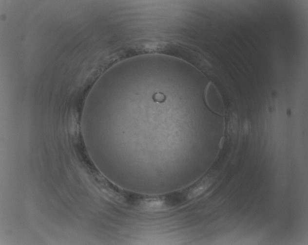 X0000052570651200507011222