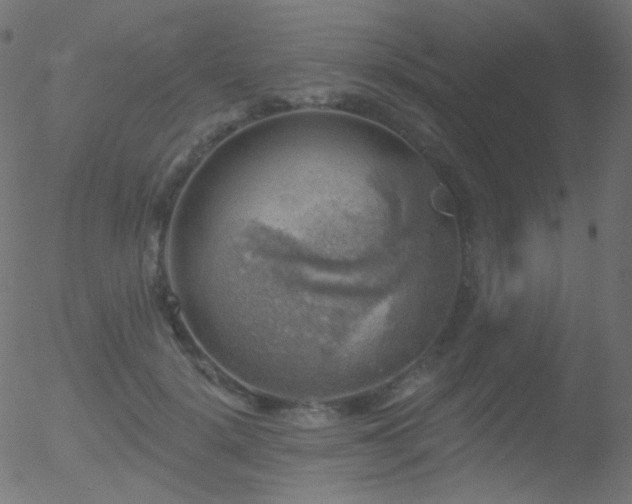 X0000052570652200507011222