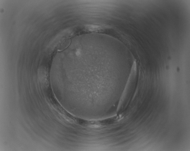 X0000052570653200507011222