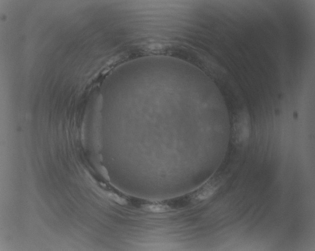 X0000052570654200507011222