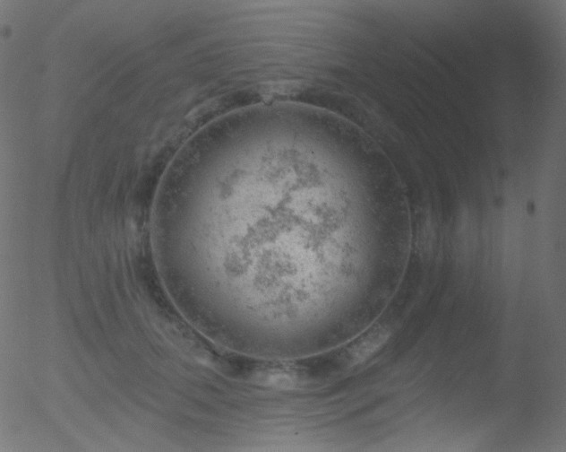 X0000052570655200507011222