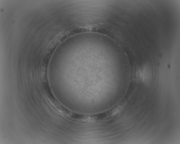 X0000052570656200507011222