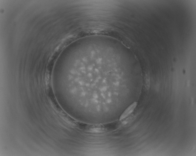 X0000052570657200507011222