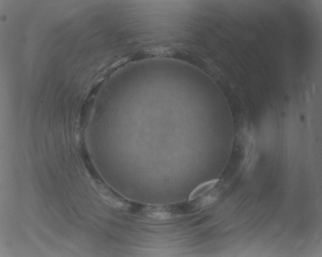 X0000052570658200507011222