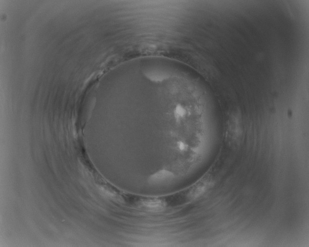 X0000052570659200507011222