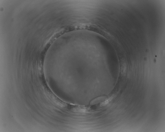 X0000052570661200507011222