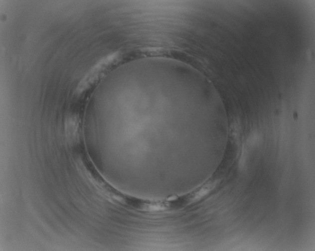 X0000052570662200507011222