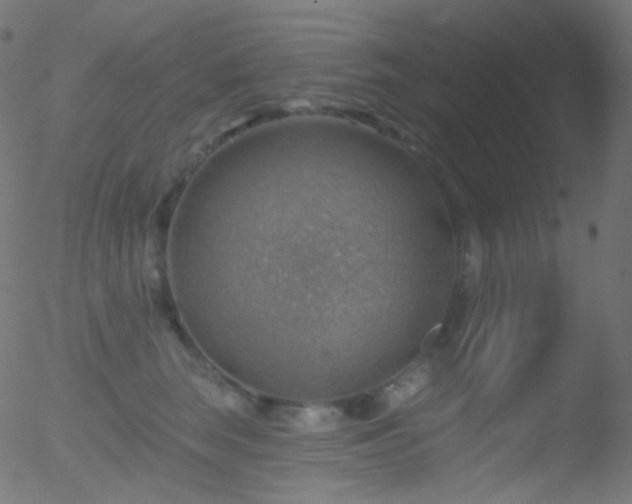 X0000052570663200507011222