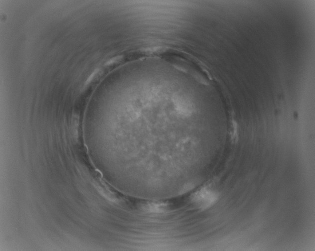 X0000052570664200507011222