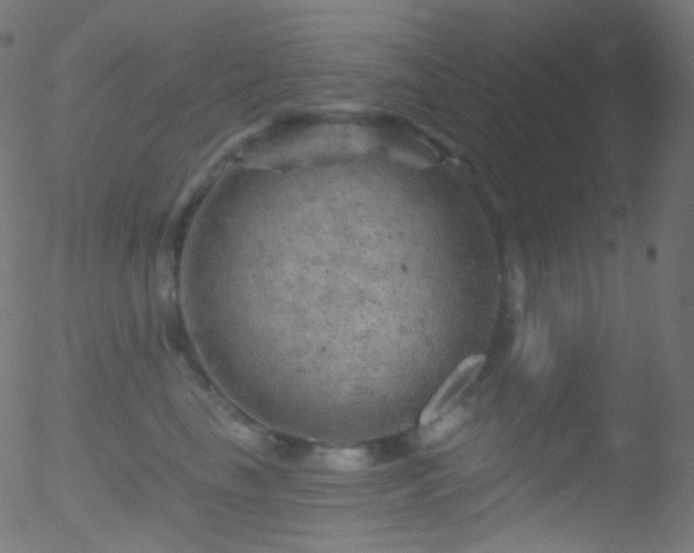 X0000052570665200507011222