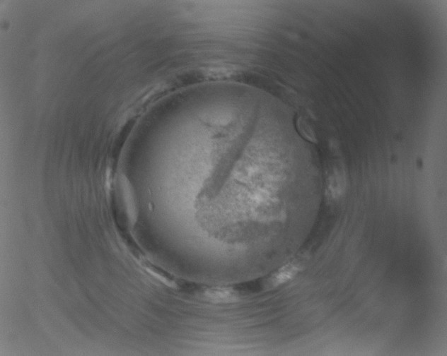 X0000052570666200507011222