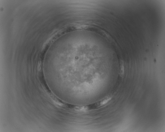 X0000052570667200507011222