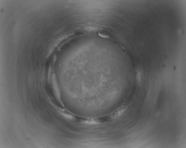 X0000052570668200507011222