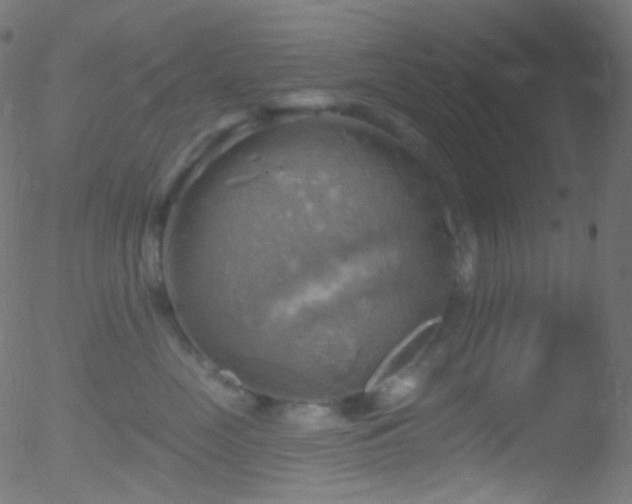 X0000052570669200507011222