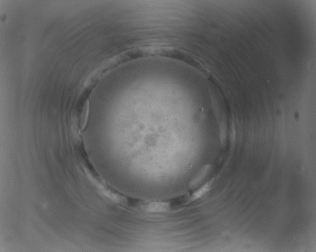 X0000052570670200507011222