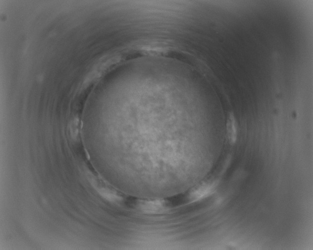 X0000052570671200507011222