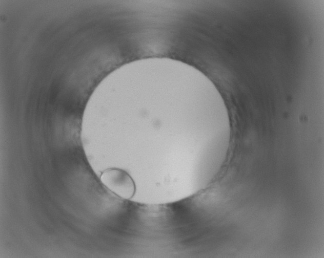 X0000052570672200507011222