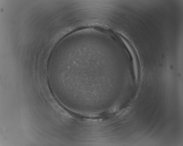 X0000052570673200507011221