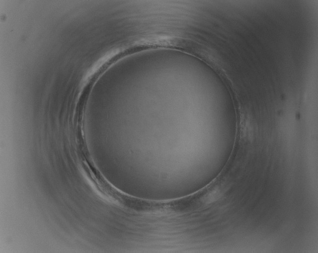 X0000052570674200507011221