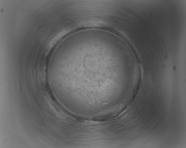 X0000052570675200507011221