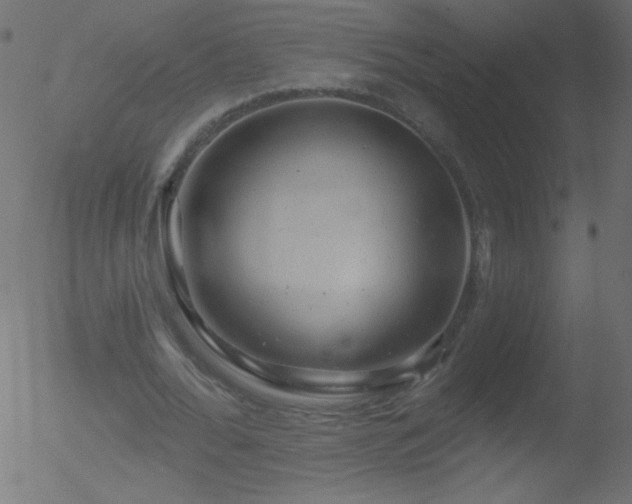 X0000052570676200507011221