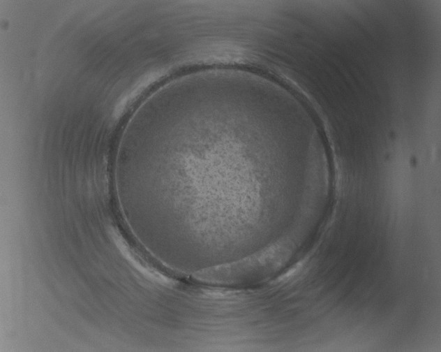 X0000052570677200507011221