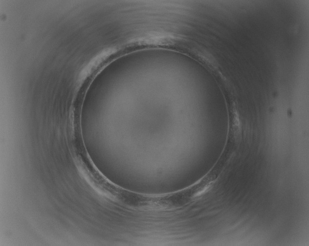 X0000052570678200507011221