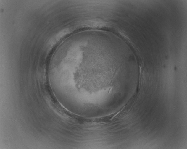 X0000052570679200507011221