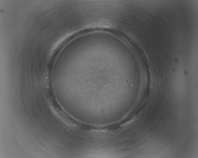 X0000052570680200507011221