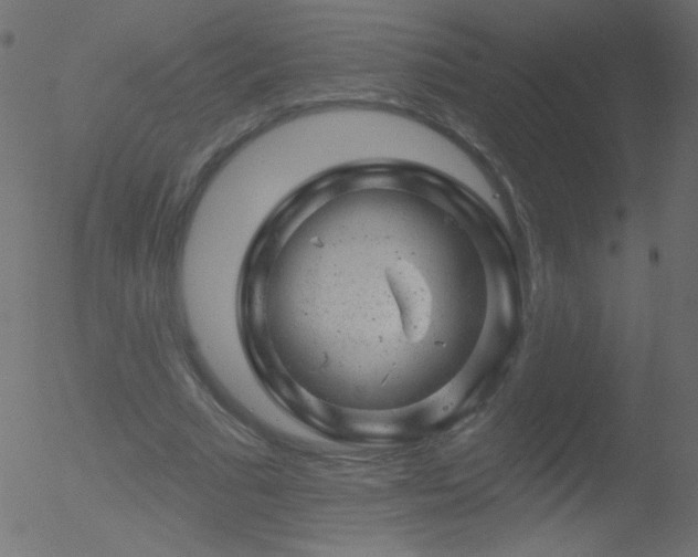 X0000052570681200507011221