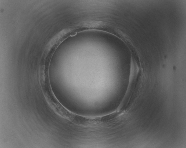 X0000052570682200507011221