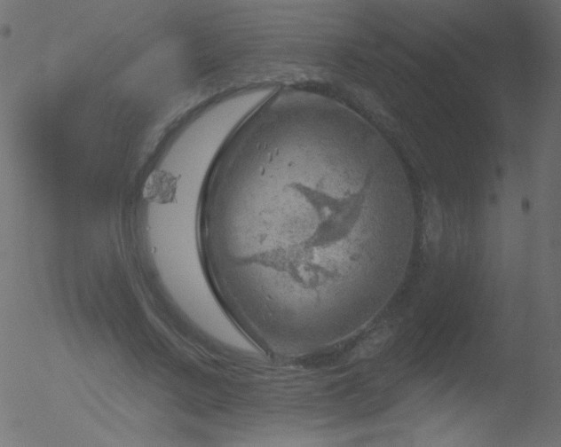 X0000052570683200507011221