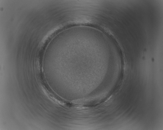 X0000052570684200507011221