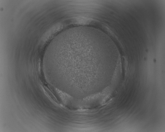 X0000052570685200507011221