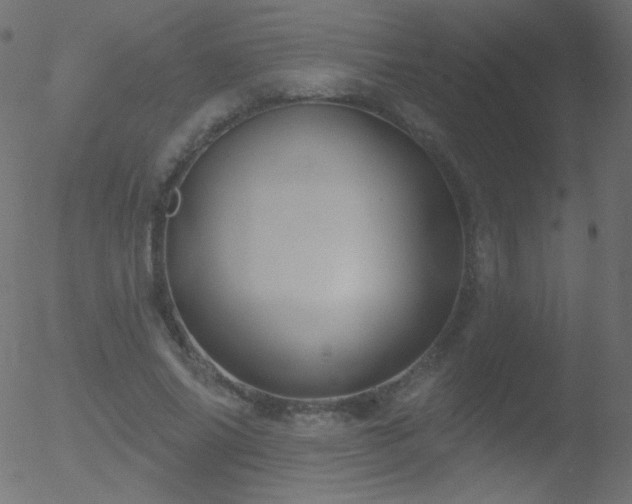 X0000052570686200507011221