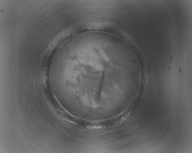 X0000052570687200507011221