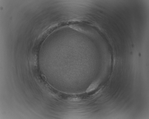 X0000052570689200507011221