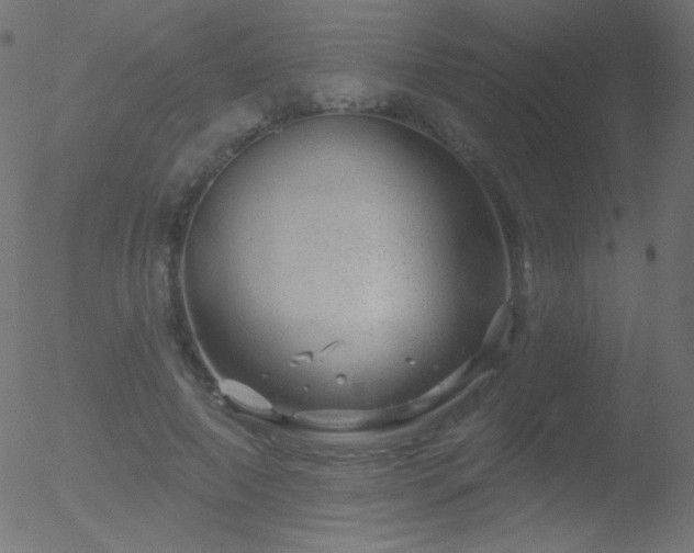 X0000052570690200507011221