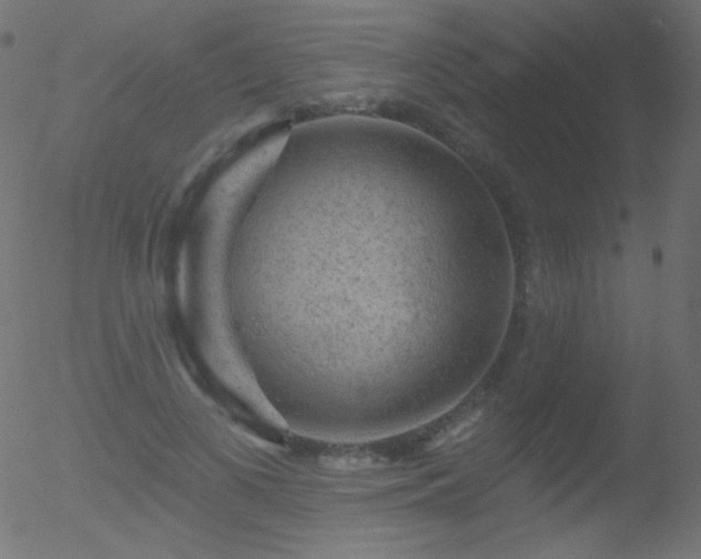 X0000052570693200507011221