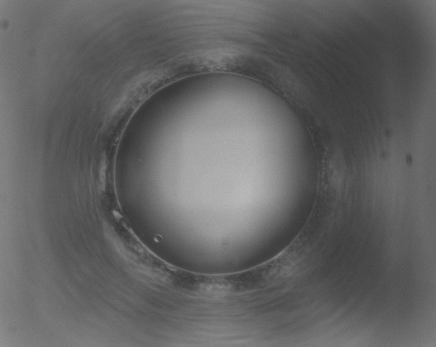 X0000052570694200507011221