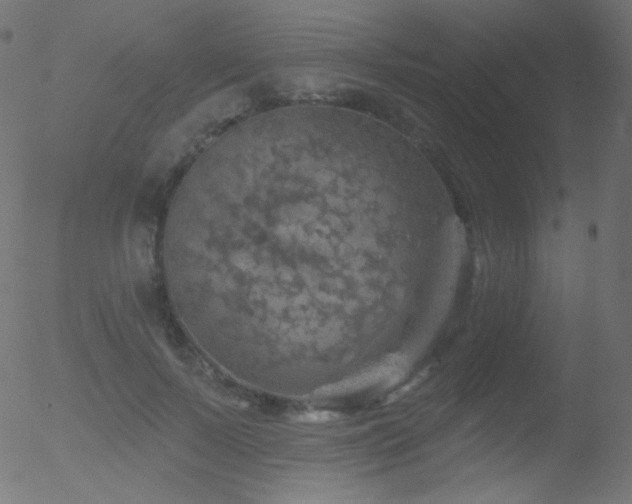 X0000052570695200507011221