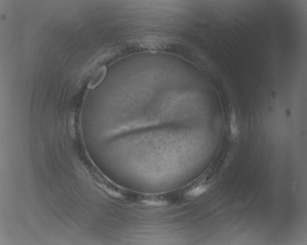 X0000052570696200507011221