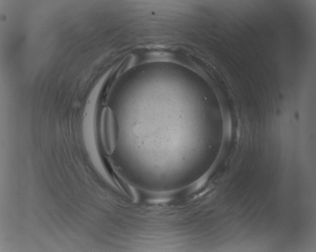 X0000052570697200507011221