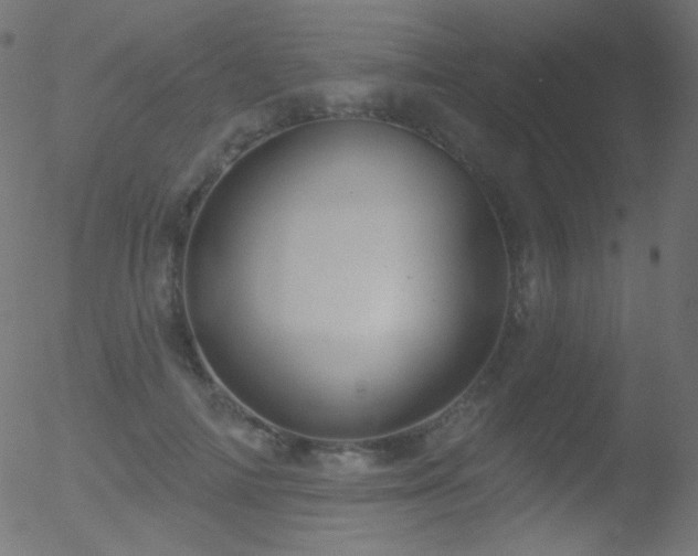 X0000052570698200507011221