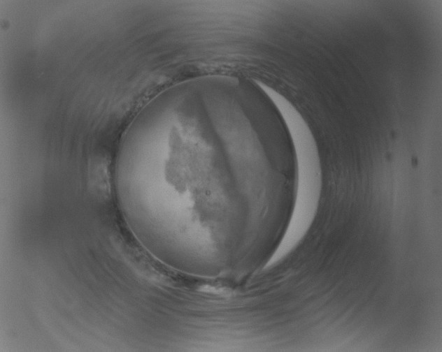 X0000052570699200507011221