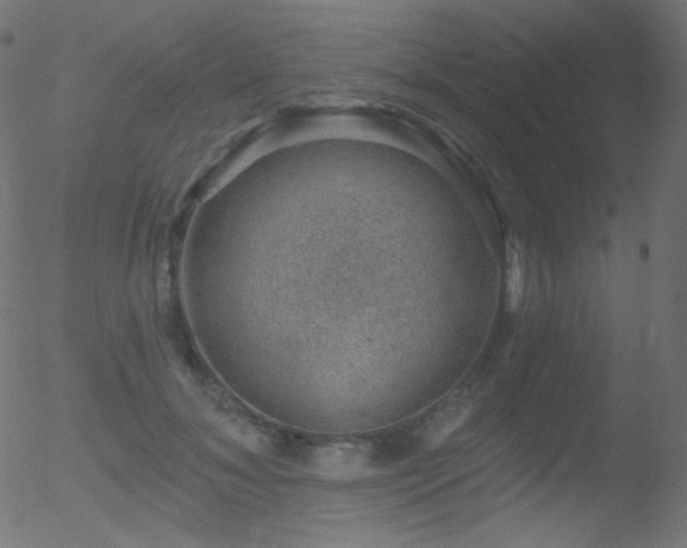 X0000052570700200507011221